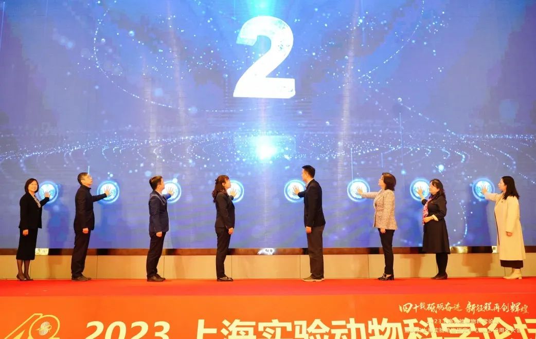 p13.jpg