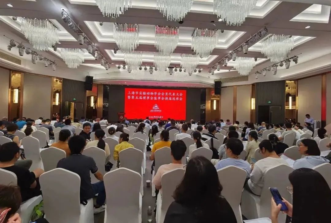 p13.jpg