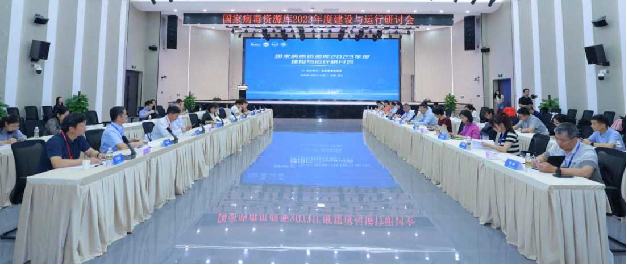 p1.jpg
