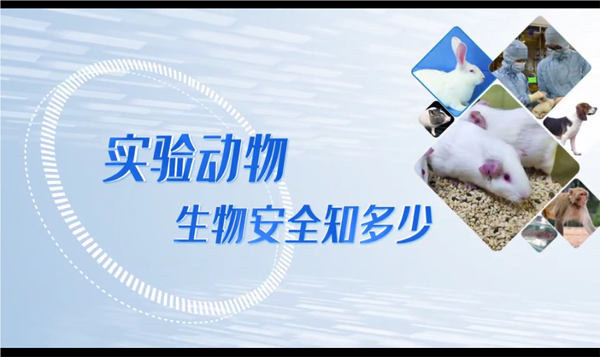 封面.png