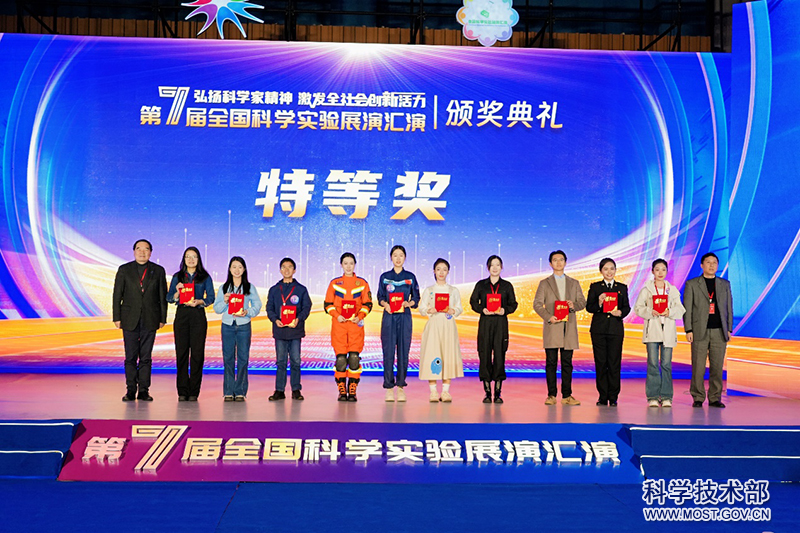 p1.jpg