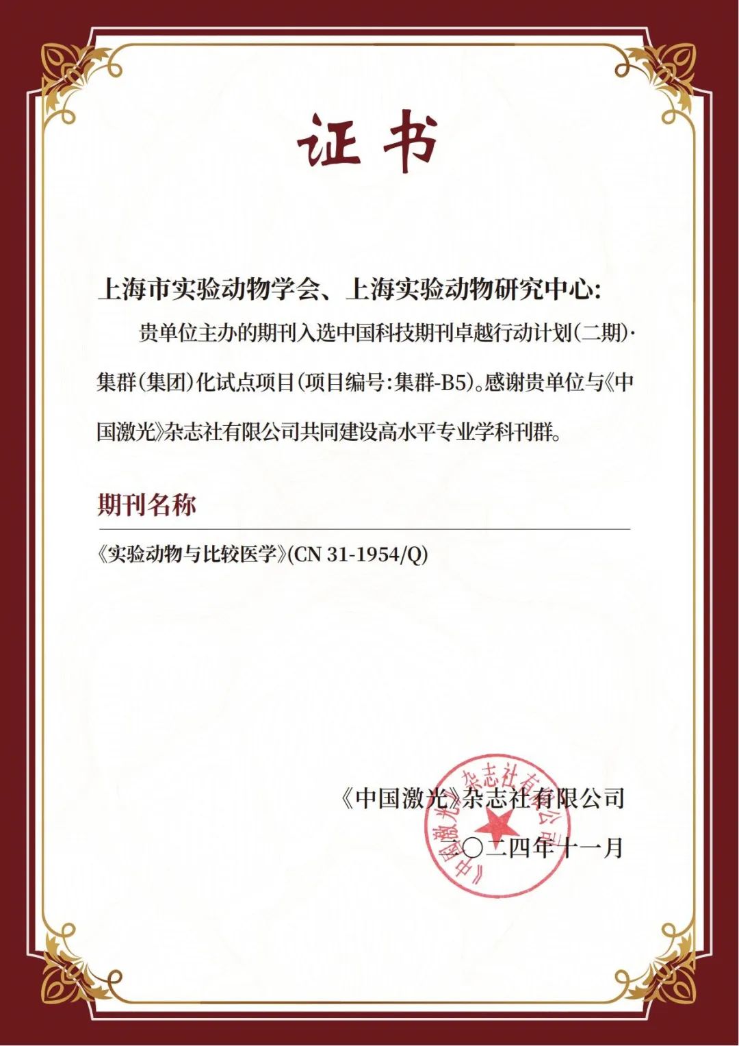 p15.jpg