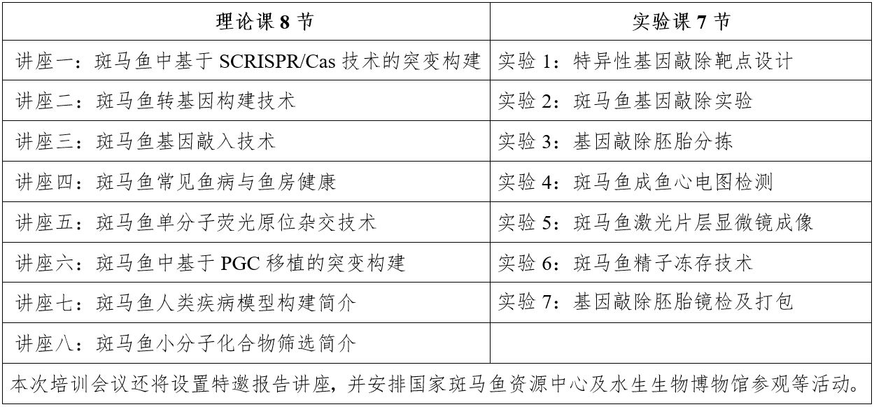 p23.png