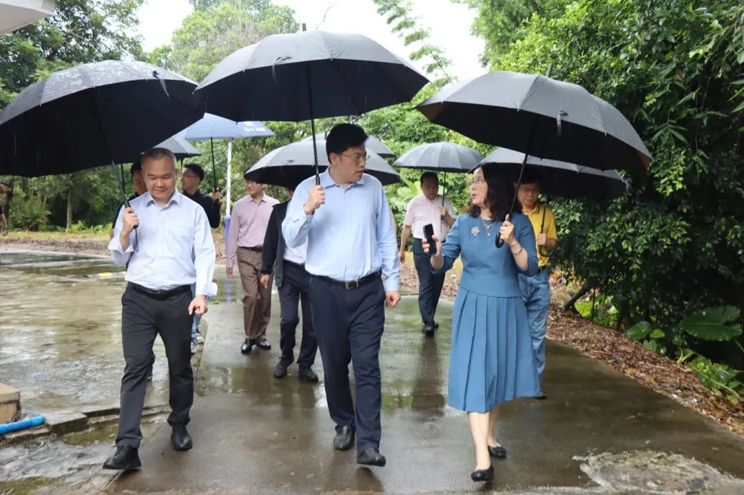 p17.jpg