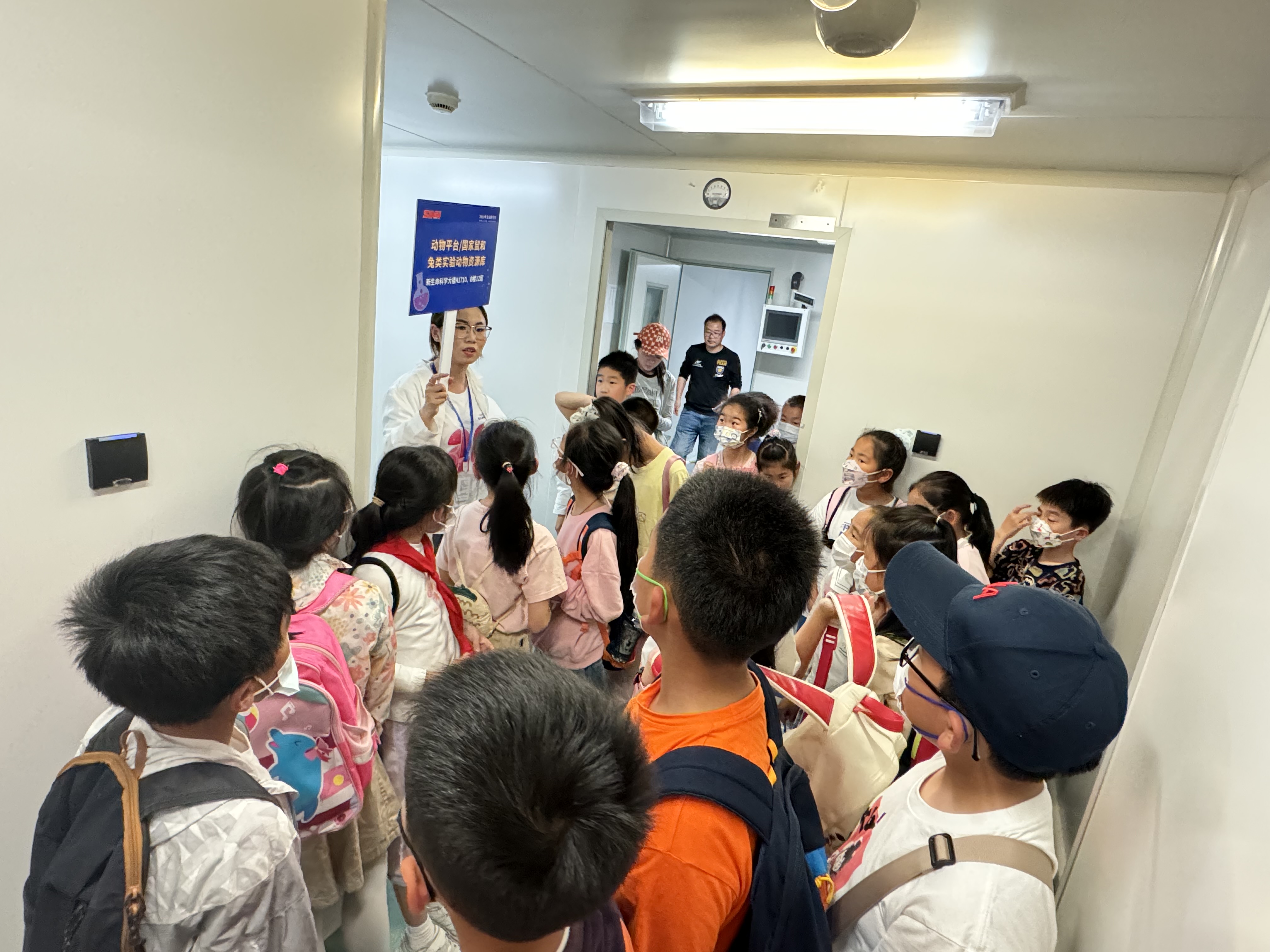 p22.jpg