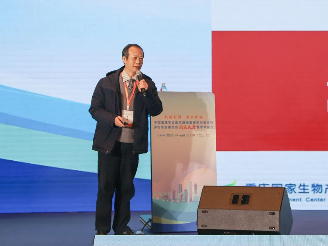 p17.jpg