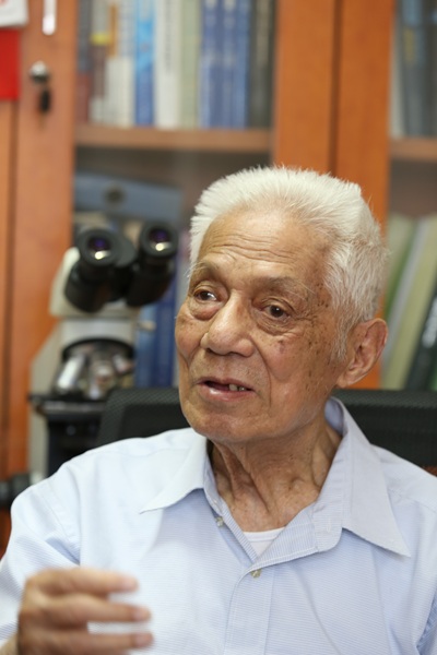 p3.jpg