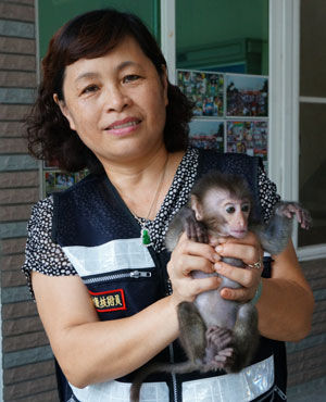 小猴熟悉环境后不怕生,充满好奇心的在竹崎消防分队内爬上爬下。 小猴熟悉环境后不怕生,充满好奇心的在竹崎消防分队内爬上爬下。