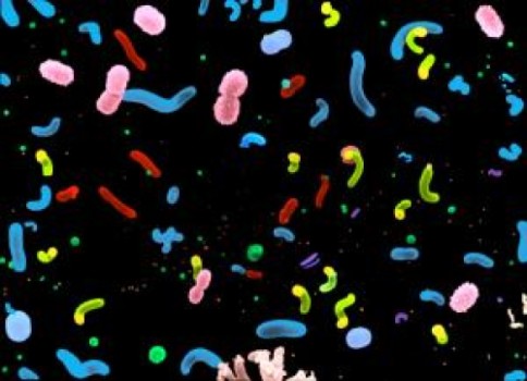 Science:海洋微生物有明显的日周期