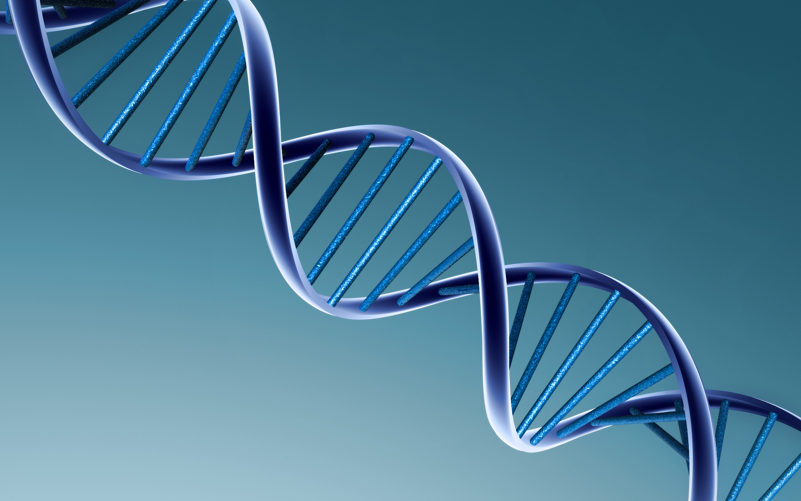 PNAS:人类、线虫和果蝇基因组的假基因比较分析
