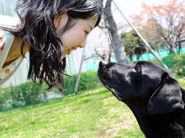 狗狗也能与人眉目传情 通过眼神向主人撒娇