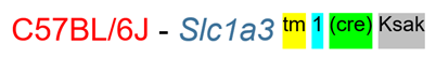p4.png
