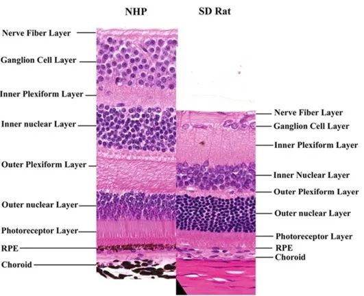 p7.jpg
