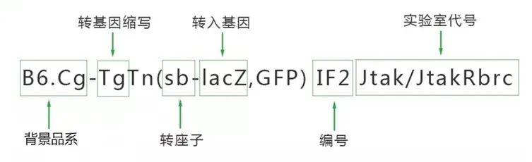 p71.jpg