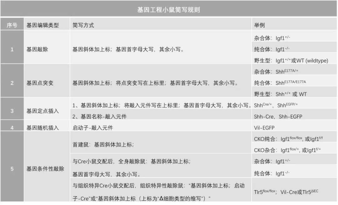 p81.jpg