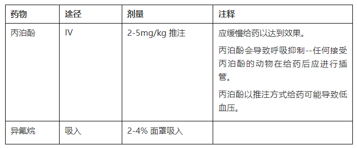 p213.png