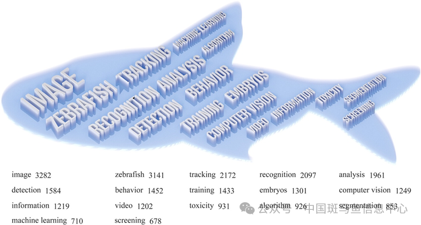 p23.png