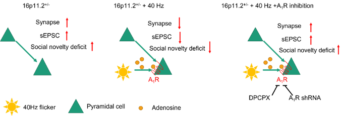 p24.jpg