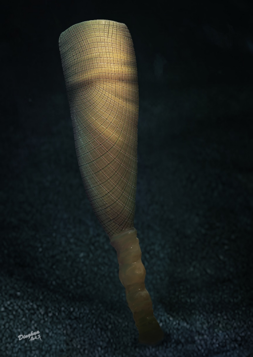 p22.png