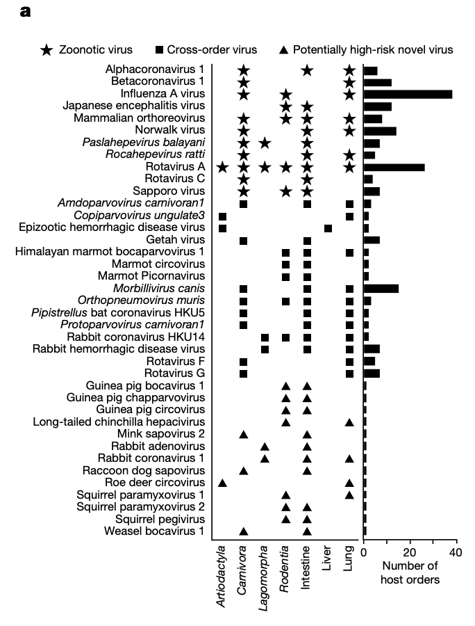 p31.jpg