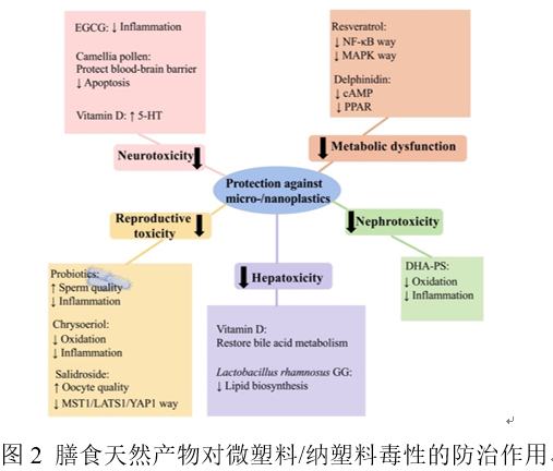 p215.png