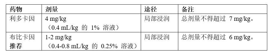 p31.jpg