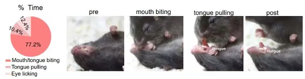 p111.png