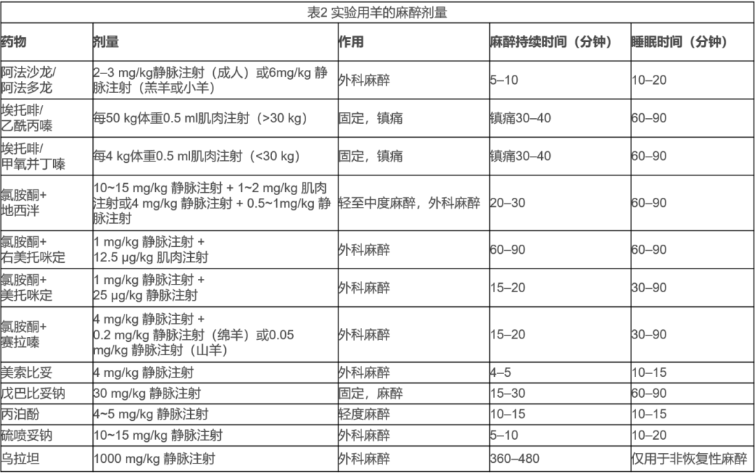 p221.png