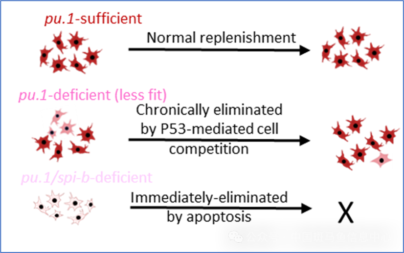 p313.png