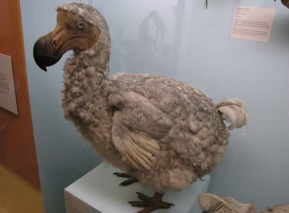 p7.jpg