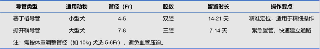 p11.png