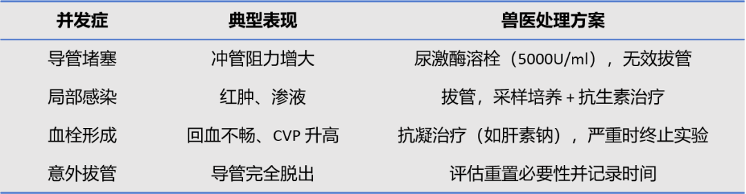 p21.png