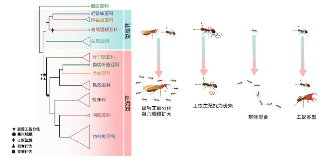 p213.png