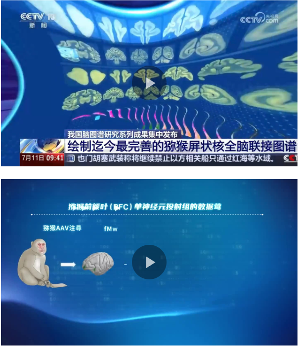 p112.png