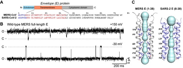 p13.jpg