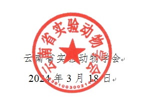 p2.png