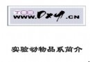 实验动物品系简介