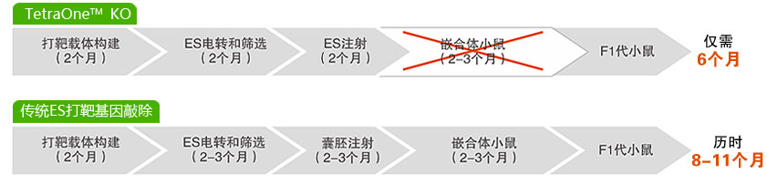 制备动物模型的基因修饰技术