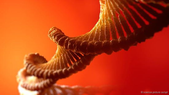 我们都是通过DNA分子来携带基因信息。