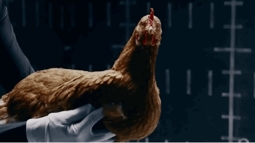 微信图片_20200312085841.gif