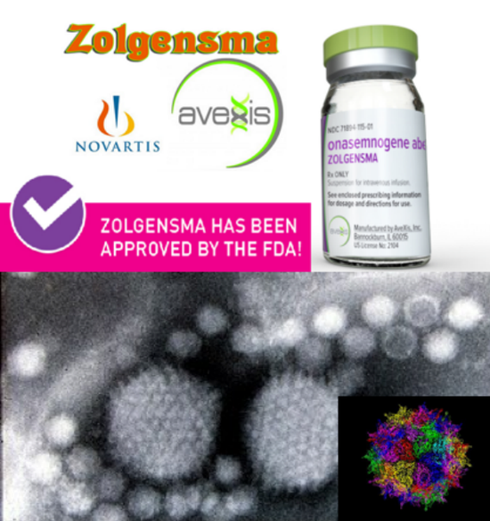 图17。 史上最贵药物，用于治疗脊髓性肌萎缩的AAV病毒