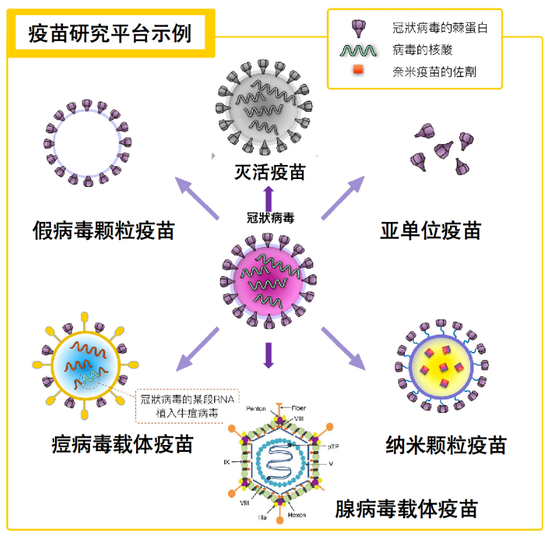 图12。 新冠病毒疫苗研发策略